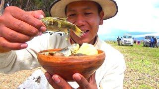 Gastronomía del PESCADO y danza Tarqueada de  PENÍNSULA de SAN JOSÉ, Lago Titicaca TARACO Bolivia