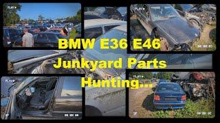 BMW E36 E46 Junk Yard Parts Hunting...