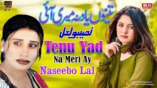 Tenu Yad Na Meri Ay - Naseebo Lal | Official Music Video | New Punjabi Song 2025