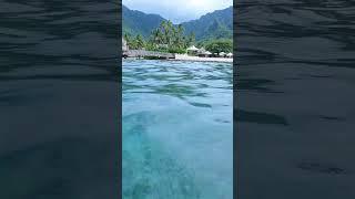 If I cannot see in the water, I’m not getting in it!!!  #vlog #youtubeshorts #shorts