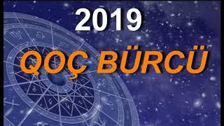 2019-cu il - Qaban ili Qoc burcune ne ved edir?