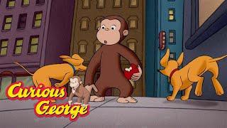 Curious George  George and Hundley get lost  Kids Cartoon  Kids Movies  Videos for Kids