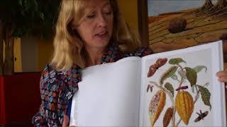 MARIA SIBYLLA MERIAN