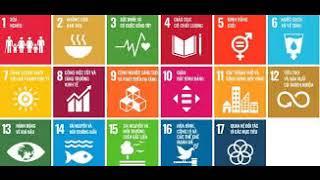 SDG là gì? 17 mục tiêu phát triển bền vững của Liên Hợp ...