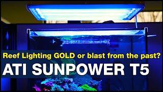 The BEST light testing performance so far? What makes T5' the reef tank light Gold Standard?