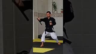 tonfa kata in my channel https://youtu.be/aRR6xeZ79OM #kobudo #tonfa #training #shortvideo #kobudo