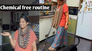 My chemical free routine for you n Friday pooja/ನನ್ನ ರಾಸಾಯನಿಕ ಮುಕ್ತ ದಿನಚರಿ ಹೇಗಿದೆ ಬನ್ನಿ ನೋಡೋಣ