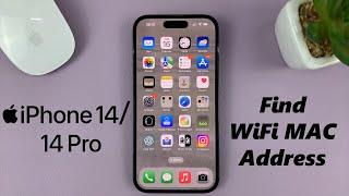 iPhone 14/14 Pro: How To Find Your Permanent WIFI MAC Address