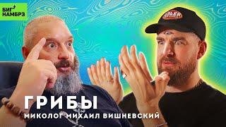 Грибы нас всех погубят? | МИКОЛОГ МИХАИЛ ВИШНЕВСКИЙ (часть 1)