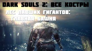 Dark souls 2: Лес Павших Гигантов - Главная Башня