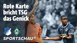 TSG Hoffenheim – SV Werder Bremen Highlights Bundesliga, 5. Spieltag | Sportschau Fußball