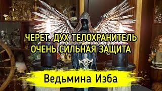 ЧЕРЕТ. ДУХ ТЕЛОХРАНИТЕЛЬ. ОЧЕНЬ СИЛЬНАЯ ЗАЩИТА. ДЛЯ ВСЕХ. ВЕДЬМИНА ИЗБА ▶️ МАГИЯ