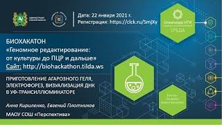 БИОХАКАТОН НТИ Лекция "Приготовление агарозного геля, электрофорез, визуализация ДНК в УФтрансиллюми