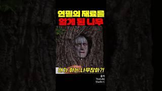 연필의 재료를 알게 된 나무