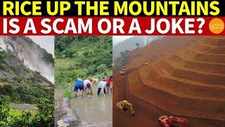 “Rice up the Mountains” Is a Scam or a Joke? | Food Crisis in China