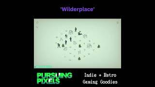 Wilderplace // #PursuingPixels #indiegames #retrogaming