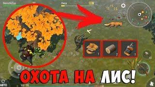 ОХОТА НА ЛИС! СОБИРАЕМ ДУБ! ГДЕ НАЙТИ ЛИС И ДУБ!? | Last Day on Earth: Survival