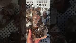 4 Rough Natural Crystals