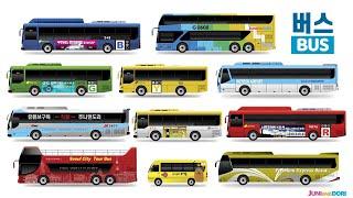 Types of bus in the Seoul