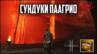 Новая акция в Lineage 2. Что выпадет с 1к донатных коробок Паагрио? Руофф в 2023 году.