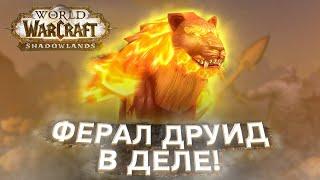 ФЕРАЛ ДРУИД ВАНШОТ БИЛД в ДЕЛЕ! Shadowlands! WoW 9.0.5! ● РЭЙВИС