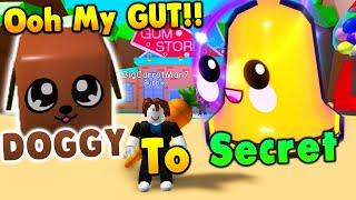 Doggy To Secret Pet in Roblox Bubble Gum Simulator (Day 1)