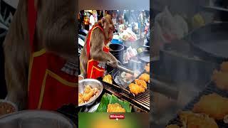 "Monkey Chef Fries Crispy Fish Like a Pro!  | Street Food Scene You Must See!"