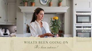 WHATS BEEN GOING ON, MY OWN TATTLE COURT CASE & A ZARA HOME HAUL | Lydia Elise Millen