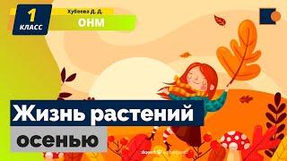 Жизнь растений осенью. Окружающий нас мир