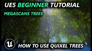 How to use Megascans Trees - Beginner Tutorial Unreal Engine 4