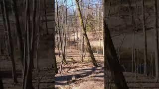 Тайна каменной головы #петергоф  #санктпетербург #рекомендации #интерсно