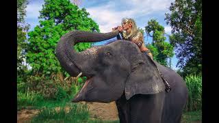 Jungle Photoshoot with Model Darya Lefler, an Elephant - Koh Samui Photographer & Makeup Artist 