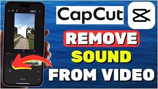 How To Remove Sound From A Video In CapCut