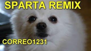 gabe the dog has Sparta DreamPad 1200 Edition Remix