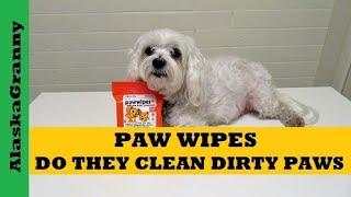 Paw Wipes Do They Clean Your Dog's Feet