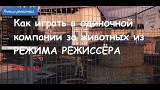 GTA 5 (PS4): Как играть в одиночной игре за животных из РЕЖИМА РЕЖИССЁРА (Патч 1.40)