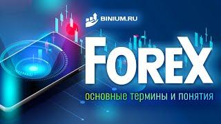 Форекс: основные термины и понятия. Гайд от Binium.ru