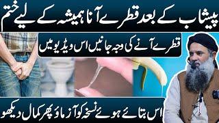 Peshab K Qatron Ka Ilaj | Urine Drops Problem Treatment | Qatron Ki Bimari Ka Ilaj | Dr Sharafat Ali