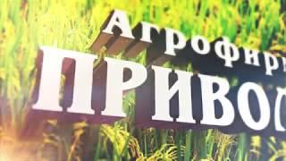 Агрофирма "ПРИВОЛЬЕ"  фильм 2017