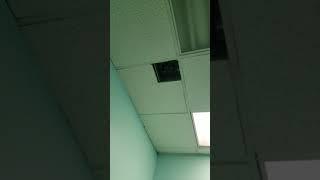 NO GRILLE, NO NAME! UNKNOWN! Buzzy exhaust fan