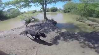 Heritage Dog Park
