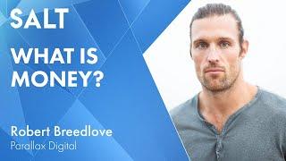 Robert Breedlove: What is Money? | SALT Talks #240