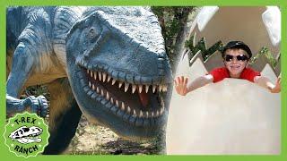 T-Rex Ranch Dinosaur Dinosaur World Adventures! | Jurassic Videos for Kids
