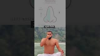 Anulom Vilom Pranayama..#motivation #yogaculture #yoga #yogaposes #yogaasanas #yogateacher #fitness
