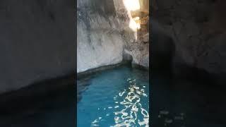 Sardegna, Grotte di Cala Gonone, dentro la grotta, Meraviglia #shorts