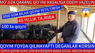 MO'JIZANI QARANG QO'YNI KASALIGA ODDIY VAZELIN 40 YILLIK TAJRIBA TEZ KOʻRING Tel 941544307