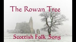 THE ROWAN TREE - Scottish Folk song