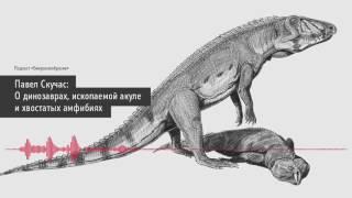 Павел Скучас: О динозаврах, ископаемой акуле и хвостатых амфибиях