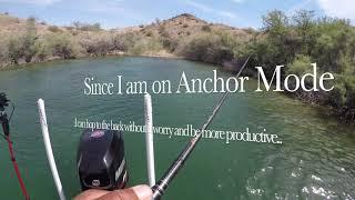 Megabass Spark Shad Swimbait ; Cast to Catch at Lake Havasu