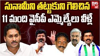 YCP MLA Winners List 2024 : సునామీని తట్టుకుని గెలిచిన 11 మంది వైసీపీ ఎమ్మెల్యేలు వీళ్లే | BIG TV